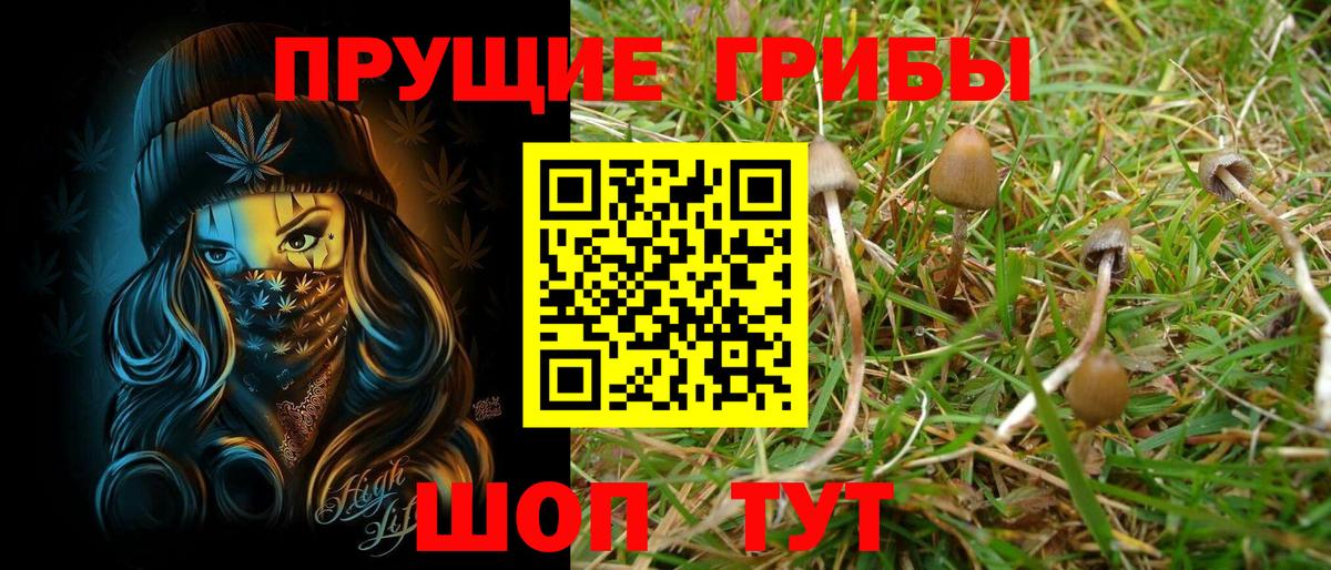 Галлюциногенные грибы Psilocybe Лесной