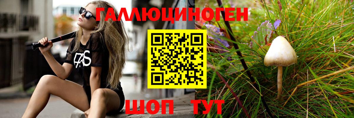 Галлюциногенные грибы ЛСД  продажа наркотиков  Псилоцибиновые грибы мицелий  Лесной  Вход с VPN 