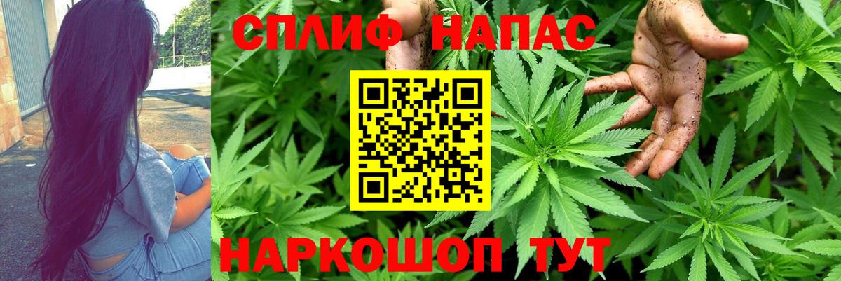 Конопля White Widow Лесной